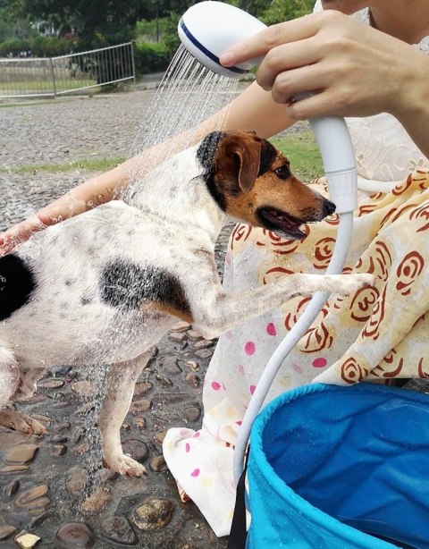 PRYSZNIC TURYSTYCZNY KEMPINGOWY BIWAKOWY POLOWY Z POMPĄ