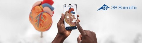 NAUKOWY MODEL ANATOMICZNY 3B SCIENTIFIC A795 ZWYRODNIENIE KREGÓW