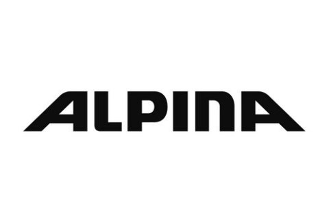 KAMIZELKA MĘSKA OCHRANIACZ PLECÓW NA TUŁÓW ALPINA PROSHIELD VEST R. XL