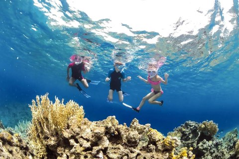 PIANKA NEOPRENOWA DZIECIĘCA KRÓTKA CRESSI LITTLE SHARK 2MM 13/14 LAT