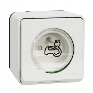GNIAZDO NATYNKOWE SCHNEIDER ELECTIC MUREVA STYL 2P+T