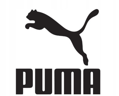 KOSZULKA DZIECIĘCA PUMA GIRL'S FIT JUNIOR R. 152 11-12 LAT