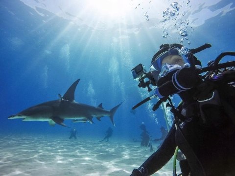 OBUDOWA WODOODPORNA DO KAMERY GOPRO HERO 8 BLACK AJDIV-001 ORYGINALNA