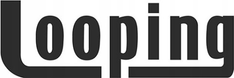 HULAJNOGA TRÓJKOŁOWA DWUKOŁOWA ROWEREK JEŹDZIK PCHACZ 5W1 LOOPING SCOOTIZZ