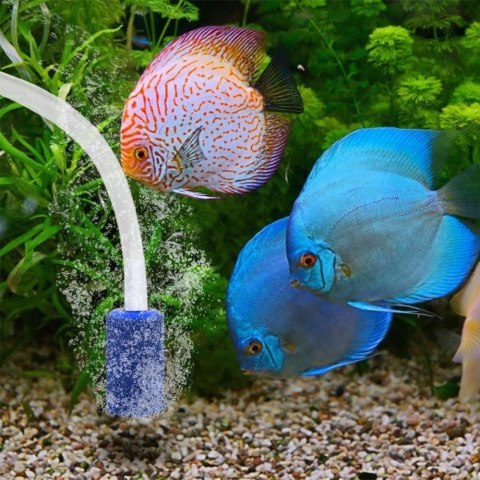 KAMIEŃ NAPOWIETRZAJĄCY DO AKWARIUM WALEC NAPOWIETRZACZ NA WĘŻYK