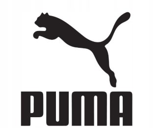 KOSZULKA DZIECIĘCA PUMA TEAMPACER JUNIOR 116 5-6 LAT