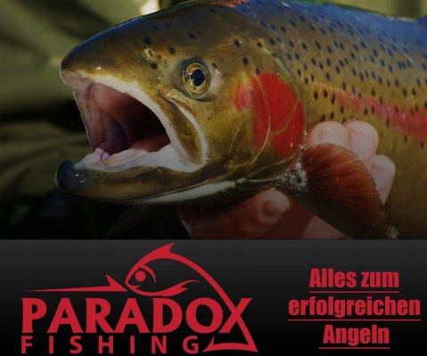 PRZYNĘTA NA PSTRĄGA WĘDKARSKA 6G-20G PŁYWAJĄCA PARADOX FISHING 7 SZTUK
